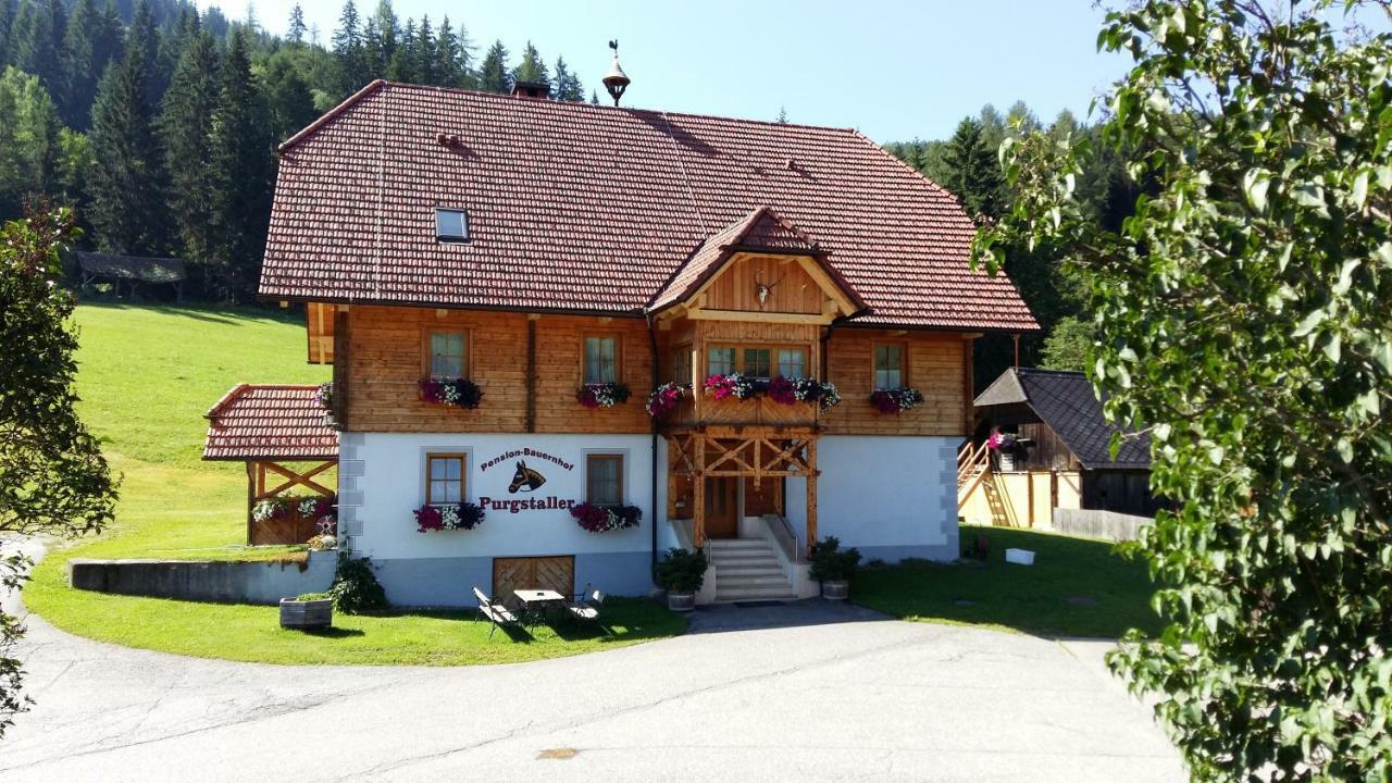 Pension - Bauernhof St. Lorenzen ob Murau Exterior foto